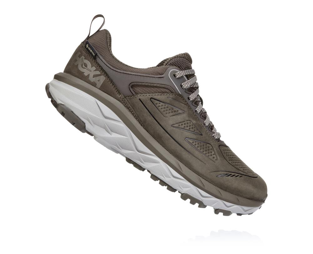 Hoka One One Challenger Low Gore-tex Ženske Tekaški Čevlji Rjava SI-178539J